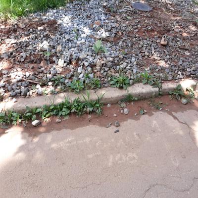 Medium 1563290810